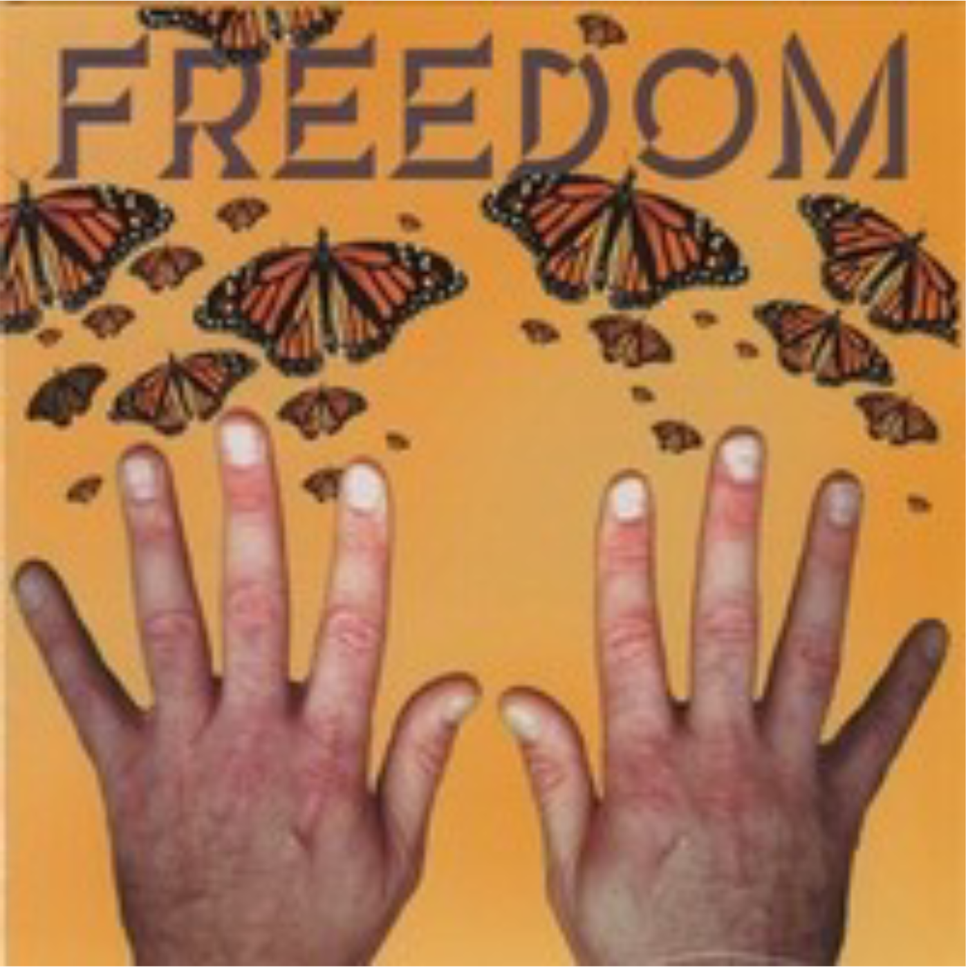 freedom-ian-mcgregor-smith